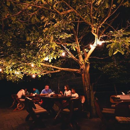 Hanu Lui Gica Spa Satu Mare Extérieur photo