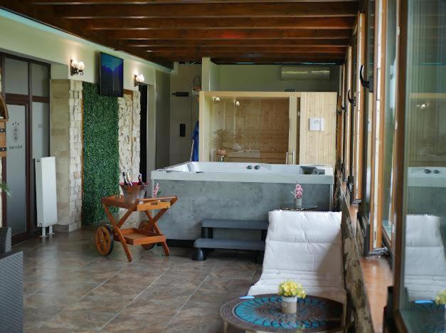 Hanu Lui Gica Spa Satu Mare Extérieur photo