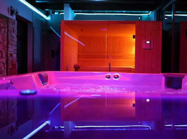 Hanu Lui Gica Spa Satu Mare Extérieur photo