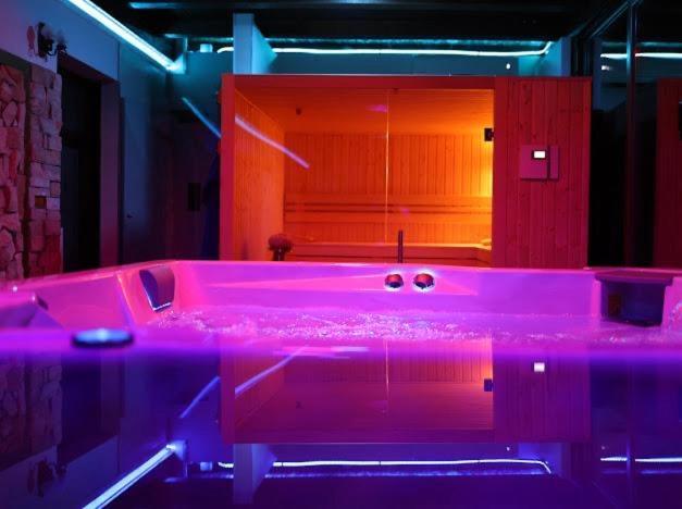 Hanu Lui Gica Spa Satu Mare Extérieur photo