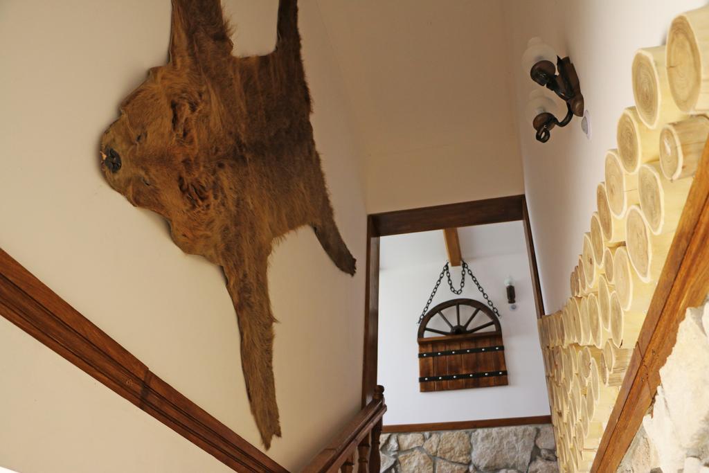 Hanu Lui Gica Spa Satu Mare Extérieur photo