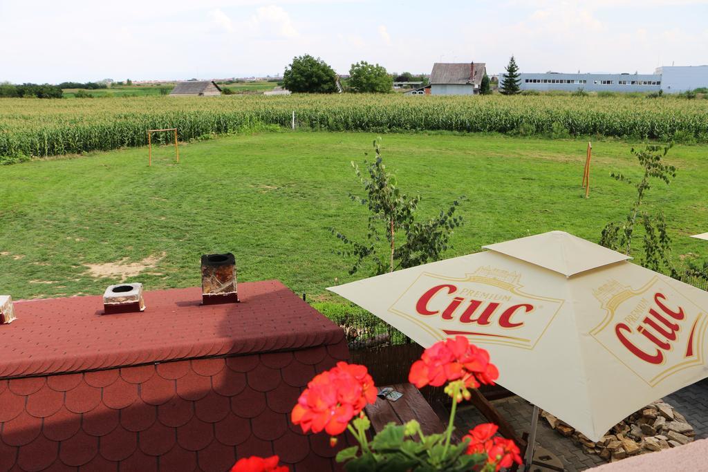 Hanu Lui Gica Spa Satu Mare Extérieur photo