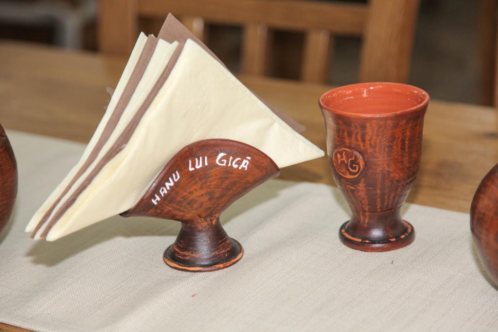 Hanu Lui Gica Spa Satu Mare Extérieur photo