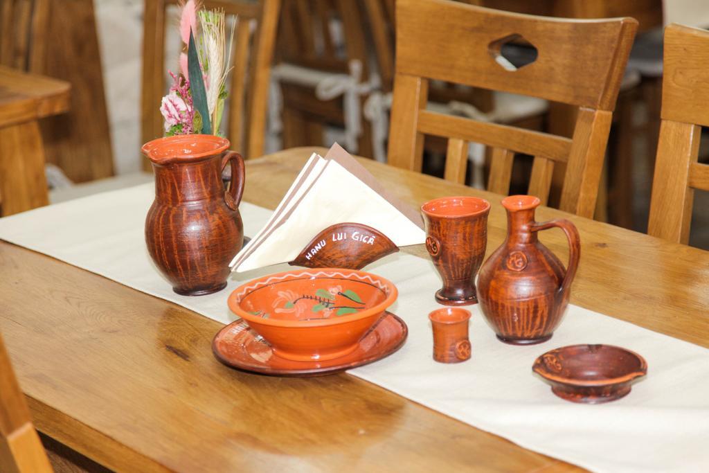 Hanu Lui Gica Spa Satu Mare Extérieur photo